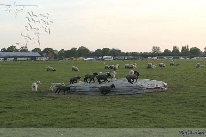 Children playing, Skyvan in the background