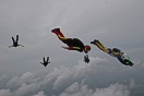 Tracking away on one of the skydives